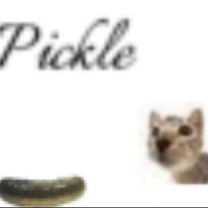 Meet your Posher, Athena